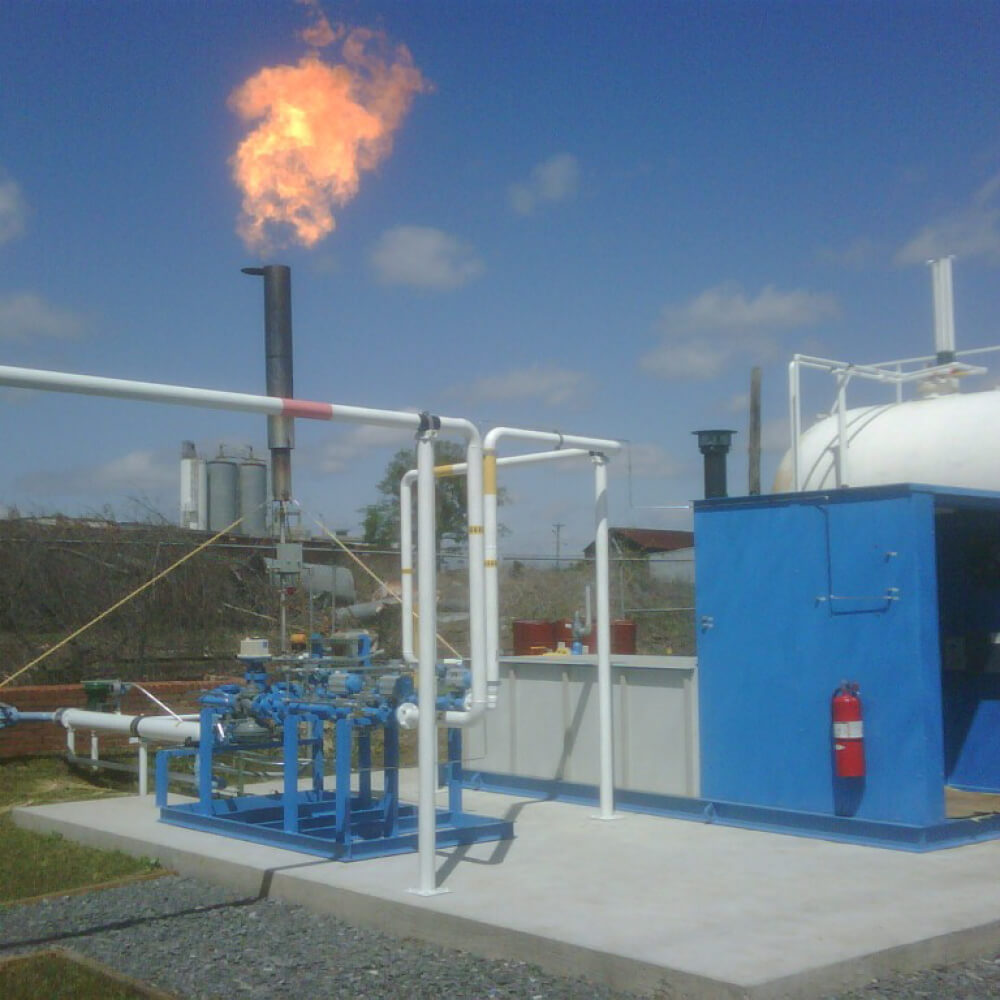 Cordele PS Plant1-20090403